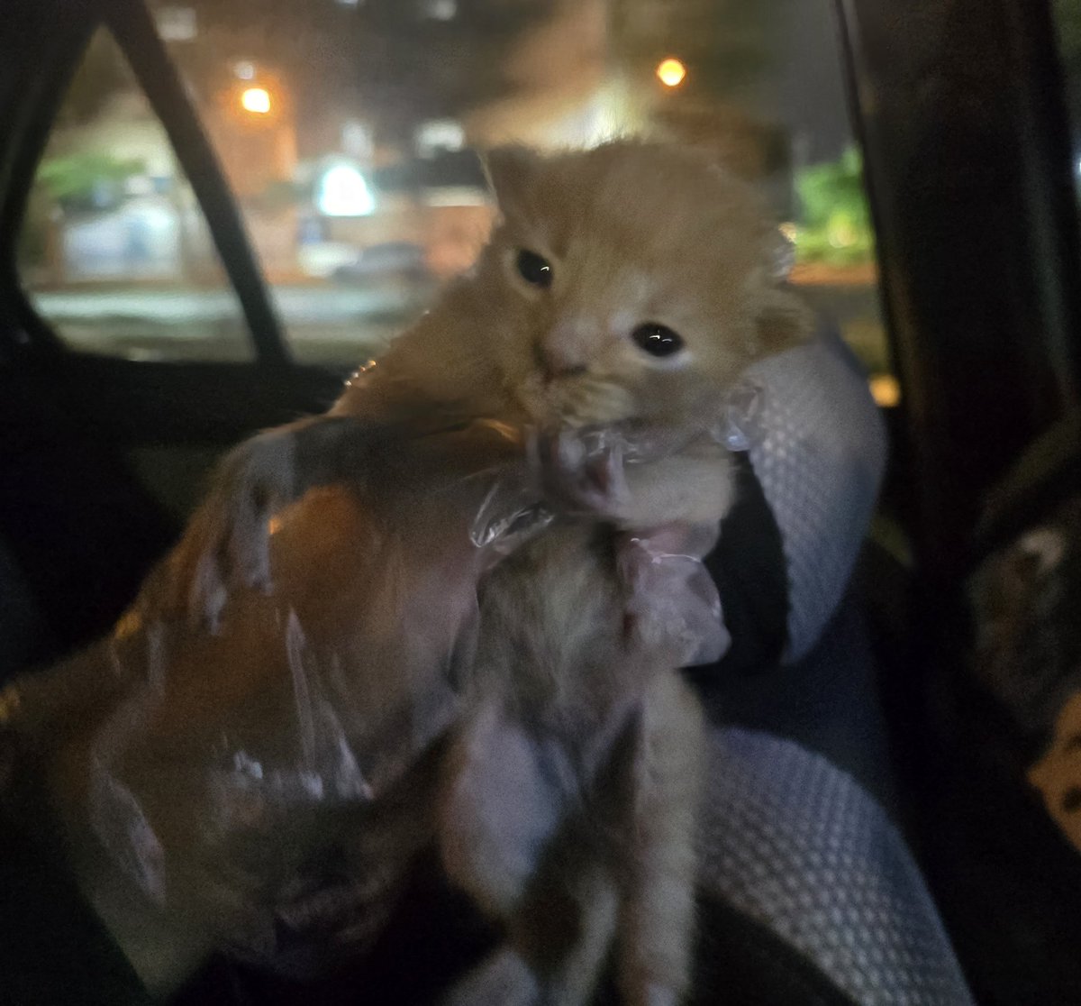 Milo